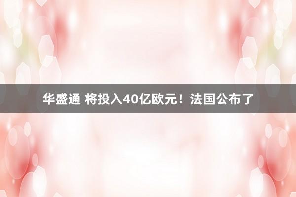 华盛通 将投入40亿欧元！法国公布了