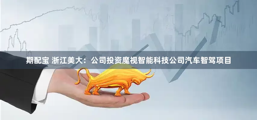 期配宝 浙江美大：公司投资魔视智能科技公司汽车智驾项目